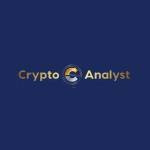 Crypto Analyst