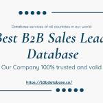 Best B2B Sales Leads Database