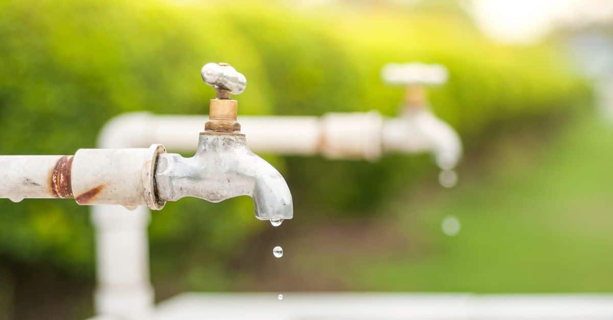 Leak Tips: Save Money with Plumbers