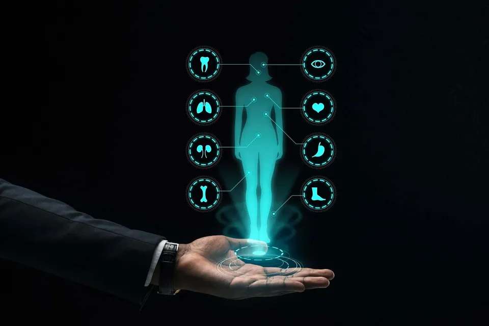 User Image